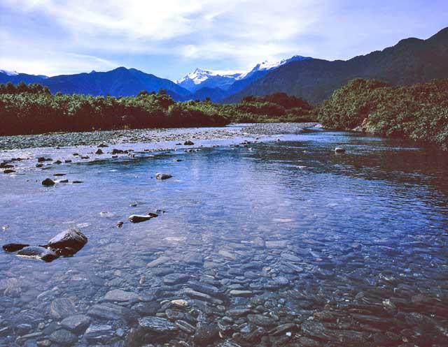 docherty creek new zealand photo