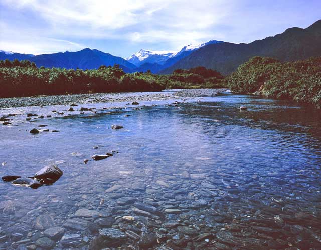 docherty creek new zealand photo